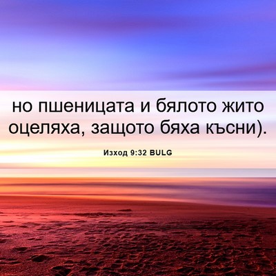 Picture 06 - Изход 9:32 BULG - но пшеницата и бялото жито - Bible Verse Picture