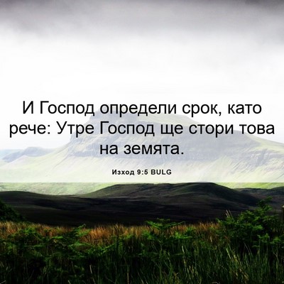 Picture 06 - Изход 9:5 BULG - И Господ определи срок, - Bible Verse Picture