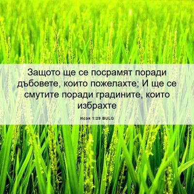 Picture 06 - Исая 1:29 BULG - Защото ще се посрамят - Bible Verse Picture
