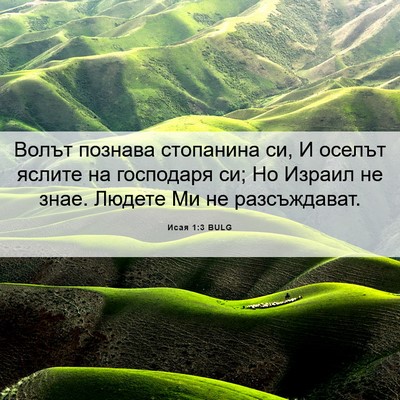 Picture 06 - Исая 1:3 BULG - Волът познава стопанина - Bible Verse Picture