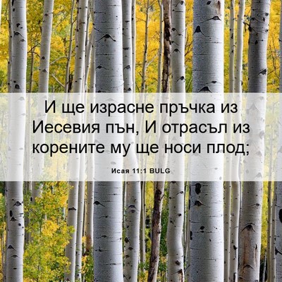 Picture 06 - Исая 11:1 BULG - И ще израсне пръчка из - Bible Verse Picture
