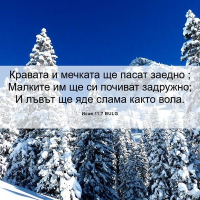 Picture 06 - Исая 11:7 BULG - Кравата и мечката ще пасат - Bible Verse Picture