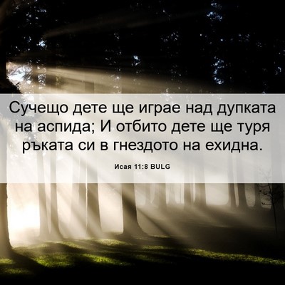 Picture 06 - Исая 11:8 BULG - Сучещо дете ще играе над - Bible Verse Picture
