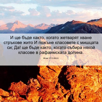 Picture 06 - Исая 17:5 BULG - И ще бъде както, когато - Bible Verse Picture