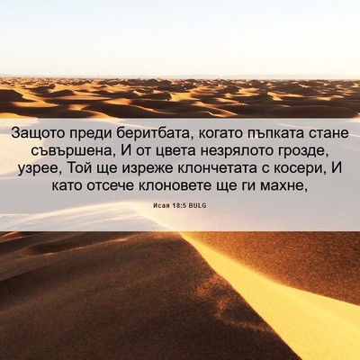 Picture 06 - Исая 18:5 BULG - Защото преди беритбата, - Bible Verse Picture