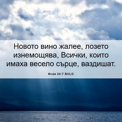 Picture 06 - Исая 24:7 BULG - Новото вино жалее, лозето - Bible Verse Picture