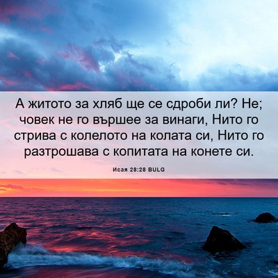 Picture 06 - Исая 28:28 BULG - А житото за хляб ще се - Bible Verse Picture