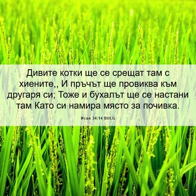 Picture 06 - Исая 34:14 BULG - Дивите котки ще се срещат - Bible Verse Picture