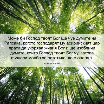 Picture 06 - Исая 37:4 BULG - Може би Господ твоят Бог ще - Bible Verse Picture
