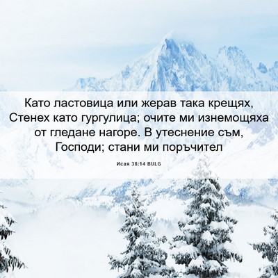 Picture 06 - Исая 38:14 BULG - Като ластовица или жерав - Bible Verse Picture