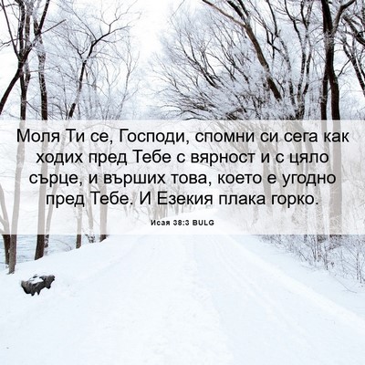 Picture 06 - Исая 38:3 BULG - Моля Ти се, Господи, спомни - Bible Verse Picture