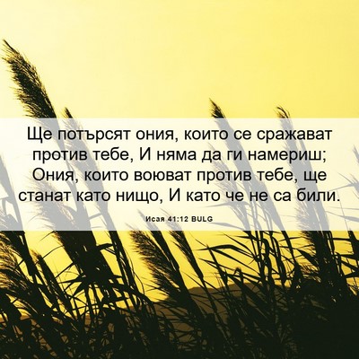 Picture 06 - Исая 41:12 BULG - Ще потърсят ония, които се - Bible Verse Picture
