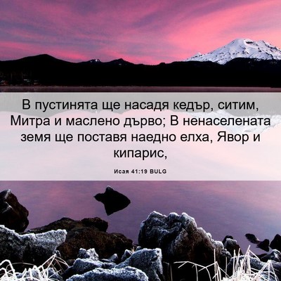 Picture 06 - Исая 41:19 BULG - В пустинята ще насадя - Bible Verse Picture