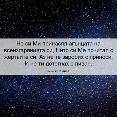 Picture 06 - Исая 43:23 BULG - Не си Ми принасял агънцата - Bible Verse Picture