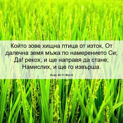 Picture 06 - Исая 46:11 BULG - Който зове хищна птица от - Bible Verse Picture