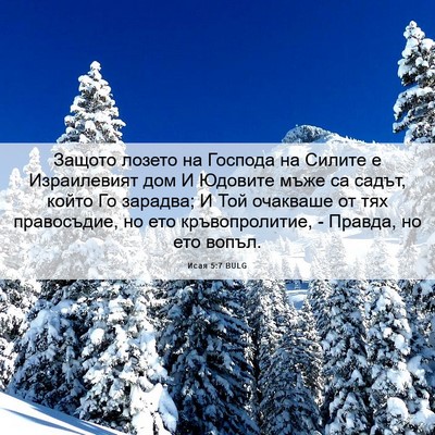 Picture 06 - Исая 5:7 BULG - Защото лозето на Господа - Bible Verse Picture