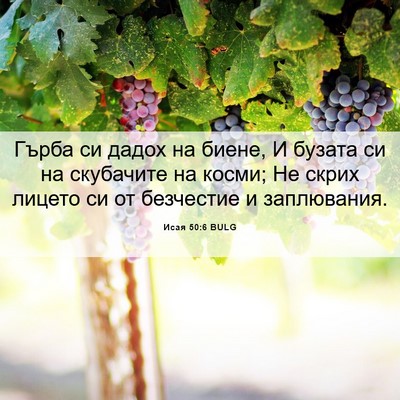 Picture 06 - Исая 50:6 BULG - Гърба си дадох на биене, И - Bible Verse Picture