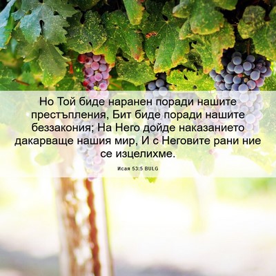 Picture 06 - Исая 53:5 BULG - Но Той биде наранен поради - Bible Verse Picture