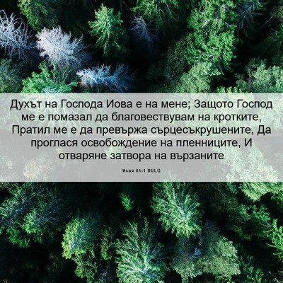 Picture 06 - Исая 61:1 BULG - Духът на Господа Иова е на - Bible Verse Picture