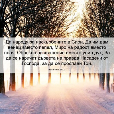 Picture 06 - Исая 61:3 BULG - Да наредя за наскърбените - Bible Verse Picture