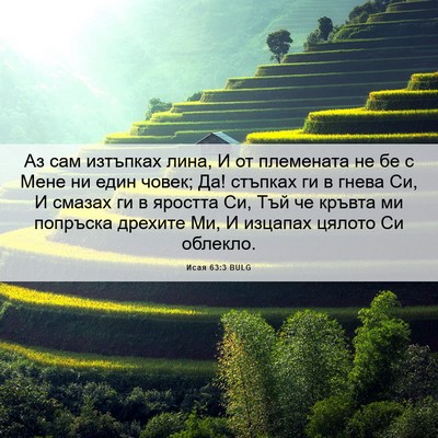 Picture 06 - Исая 63:3 BULG - Аз сам изтъпках лина, И от - Bible Verse Picture