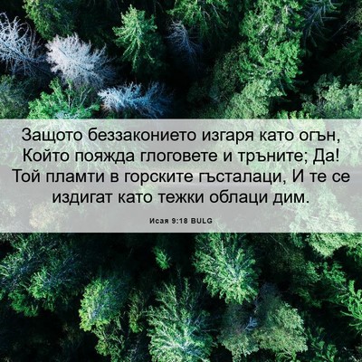 Picture 06 - Исая 9:18 BULG - Защото беззаконието - Bible Verse Picture