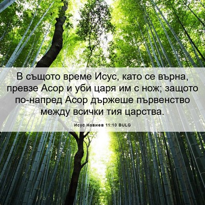 Picture 06 - Исус Навиев 11:10 BULG - В същото време Исус, като - Bible Verse Picture