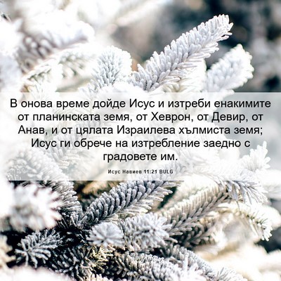 Picture 06 - Исус Навиев 11:21 BULG - В онова време дойде Исус и - Bible Verse Picture
