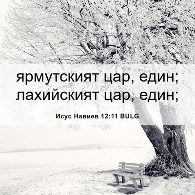 Picture 06 - Исус Навиев 12:11 BULG - ярмутският цар, един; - Bible Verse Picture