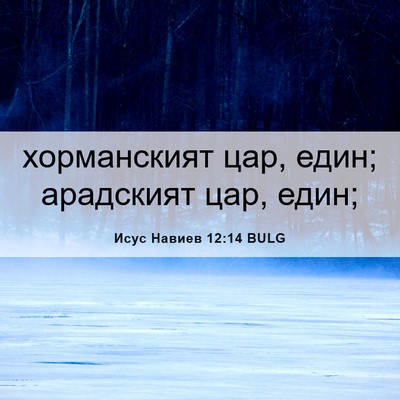 Picture 06 - Исус Навиев 12:14 BULG - хорманският цар, един; - Bible Verse Picture