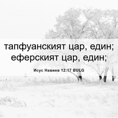 Picture 06 - Исус Навиев 12:17 BULG - тапфуанският цар, един; - Bible Verse Picture