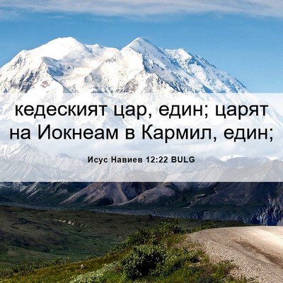 Picture 06 - Исус Навиев 12:22 BULG - кедеският цар, един; царят - Bible Verse Picture