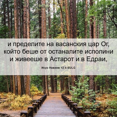 Picture 06 - Исус Навиев 12:4 BULG - и пределите на васанския - Bible Verse Picture