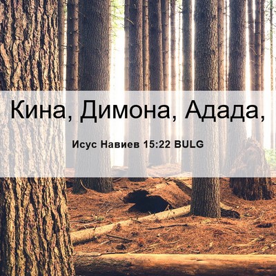 Picture 06 - Исус Навиев 15:22 BULG - Кина, Димона, - Bible Verse Picture