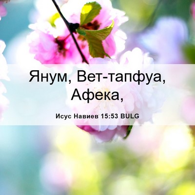 Picture 06 - Исус Навиев 15:53 BULG - Янум, Вет-тапфуа, - Bible Verse Picture