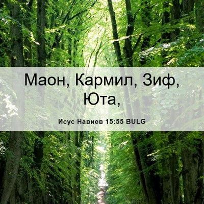 Picture 06 - Исус Навиев 15:55 BULG - Маон, Кармил, Зиф, - Bible Verse Picture