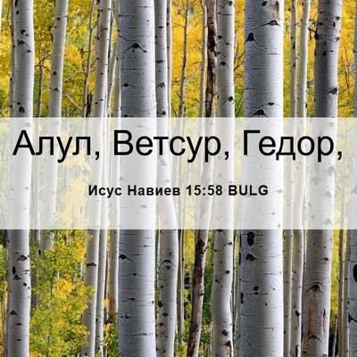 Picture 06 - Исус Навиев 15:58 BULG - Алул, Ветсур, - Bible Verse Picture