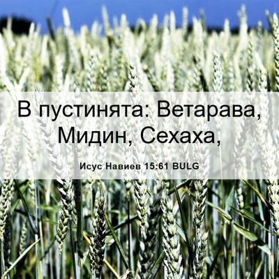 Picture 06 - Исус Навиев 15:61 BULG - В пустинята: Ветарава, - Bible Verse Picture