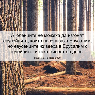 Picture 06 - Исус Навиев 15:63 BULG - А юдейците не можеха да - Bible Verse Picture