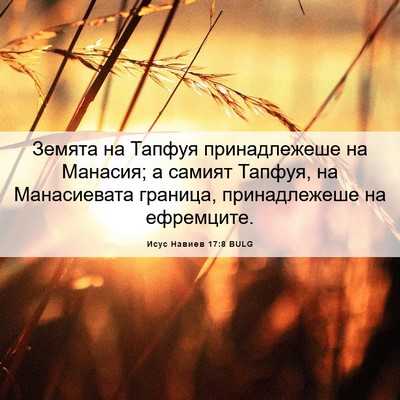 Picture 06 - Исус Навиев 17:8 BULG - Земята на Тапфуя - Bible Verse Picture