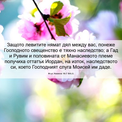 Picture 06 - Исус Навиев 18:7 BULG - Защото левитите нямат дял - Bible Verse Picture