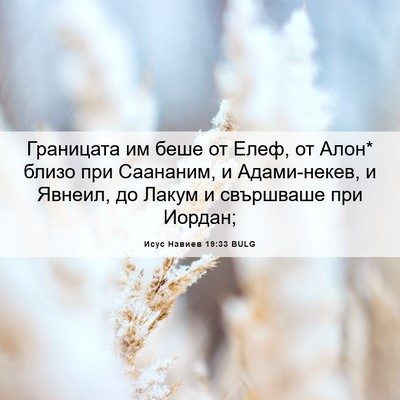 Picture 06 - Исус Навиев 19:33 BULG - Границата им беше от Елеф, - Bible Verse Picture