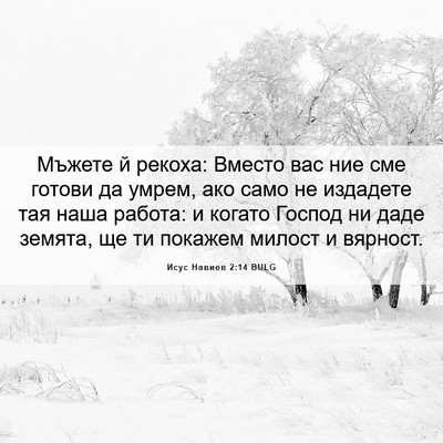 Picture 06 - Исус Навиев 2:14 BULG - Мъжете й рекоха: Вместо вас - Bible Verse Picture