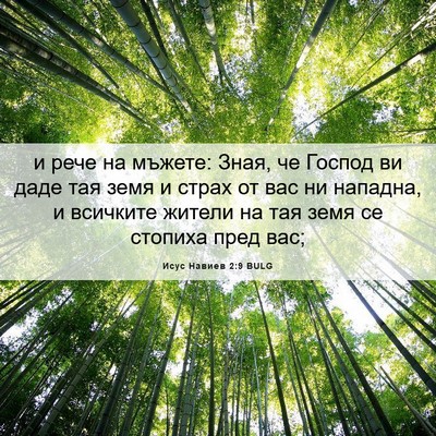 Picture 06 - Исус Навиев 2:9 BULG - и рече на мъжете: Зная, че - Bible Verse Picture
