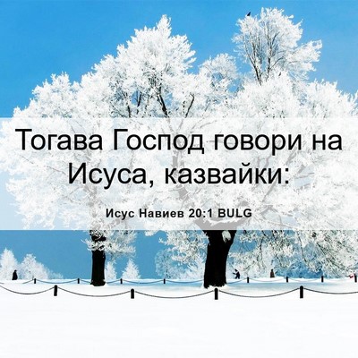 Picture 06 - Исус Навиев 20:1 BULG - Тогава Господ говори на - Bible Verse Picture