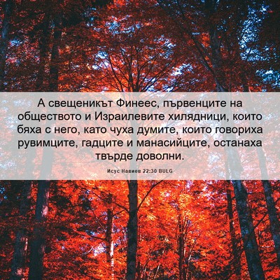 Picture 06 - Исус Навиев 22:30 BULG - А свещеникът Финеес, - Bible Verse Picture