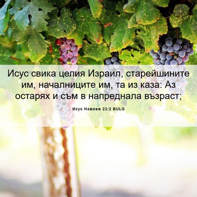 Picture 06 - Исус Навиев 23:2 BULG - Исус свика целия Израил, - Bible Verse Picture