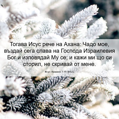 Picture 06 - Исус Навиев 7:19 BULG - Тогава Исус рече на Ахана: - Bible Verse Picture
