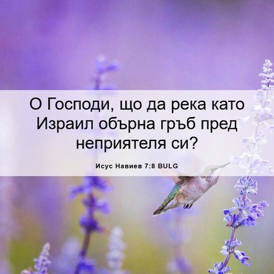 Picture 06 - Исус Навиев 7:8 BULG - О Господи, що да река като - Bible Verse Picture