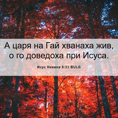 Picture 06 - Исус Навиев 8:23 BULG - А царя на Гай хванаха жив, о - Bible Verse Picture